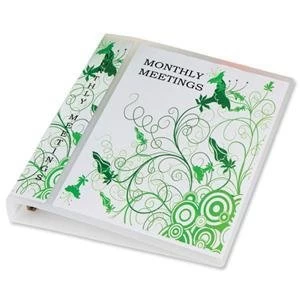 Image of Original Elba Polyvision Maxi A4 Presentation Binder Polypropylene 4 D Ring 25mm Clear Pack of 10