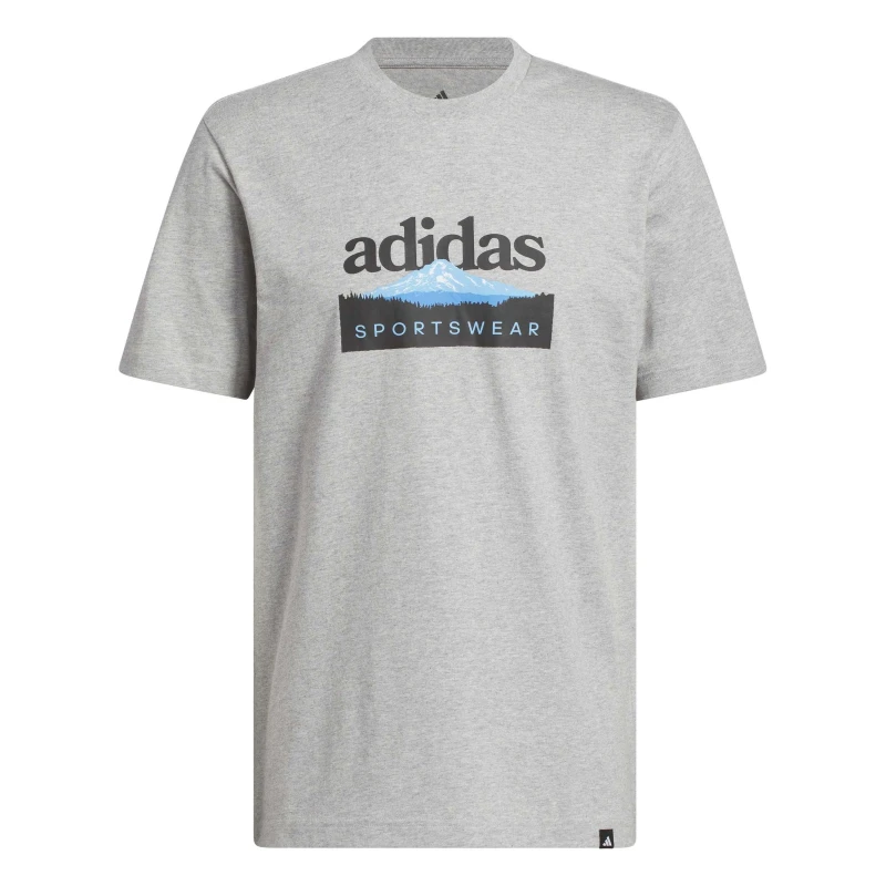 Image of adidas Graphic Logo T-Shirt Mens Grey Mountain male S