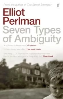 Image of Seven Types of Ambiguity