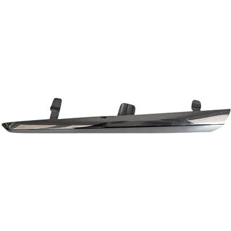 Image of Bumper moulding DIEDERICHS 6607335