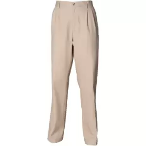 image of Henbury Mens Teflon Stain Resistant Coated Pleated Chino Work Trousers / Pants (36 x Regular) (Stone) - Stone