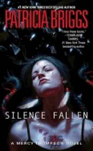 Image of silence fallen