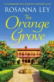 Image of The Orange Grove : an utterly mouth-watering holiday romance set in sunny Seville