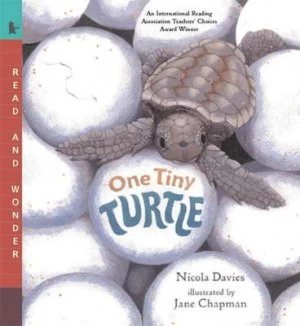Image of One Tiny Turtle by Nicola Davies Book