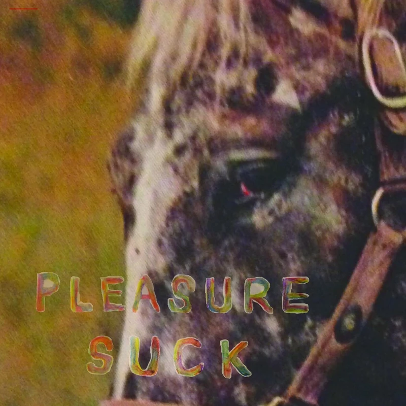 Image of Pleasure suck Vinyl