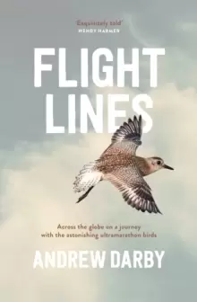 Image of Flight Lines
