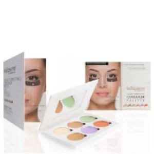 image of Bellapierre Cosmetics Colour Correcting Concealer Palette