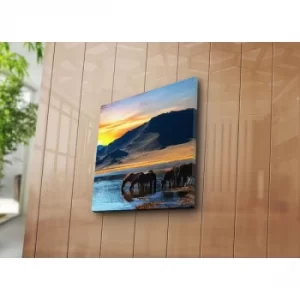 Image of 4545NAT-43 Multicolor Decorative Canvas Painting