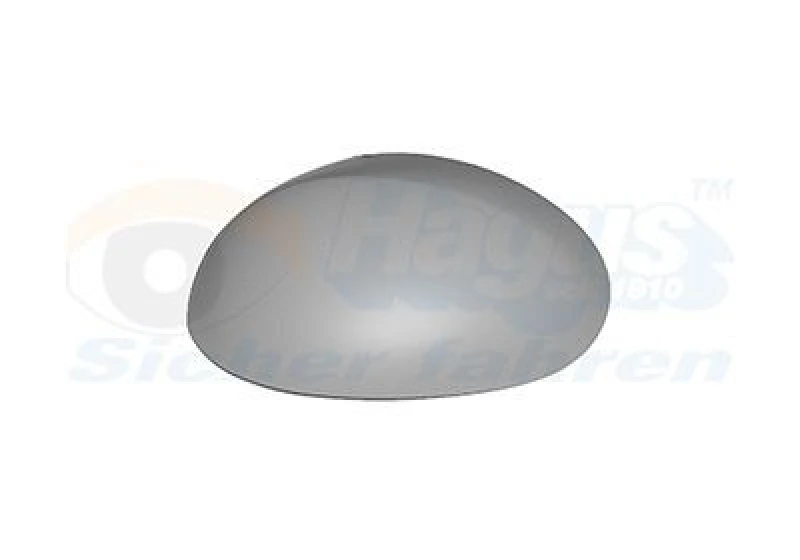 Image of VAN WEZEL Wing mirror cover VAN WEZEL 0910841