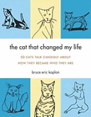 Image of cat that changed my life 50 cats talk candidly about how they became who th