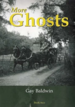 Image of More Ghosts Book