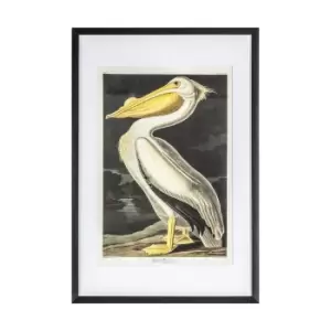 image of 61 x 91cm Vintage Pelican Framed Art