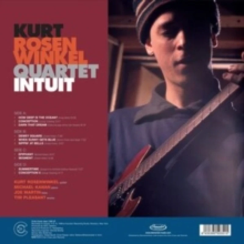 Image of Intuit Vinyl