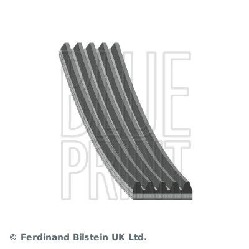 Image of Blue PRINT Serpentine belt Blue PRINT AD05R926