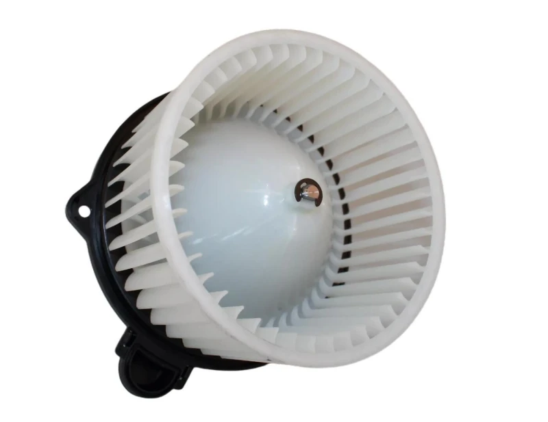Image of Blower motor WALKER WBL00532