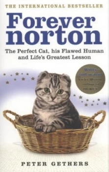 Image of Forever Norton by Peter Gethers Paperback