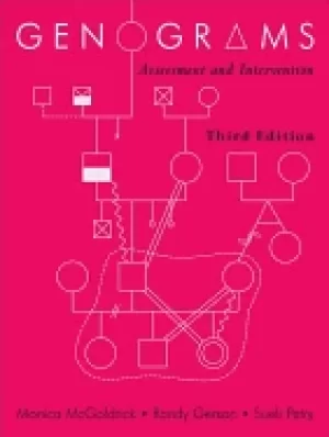 Image of genograms assessment and intervention norton professional books