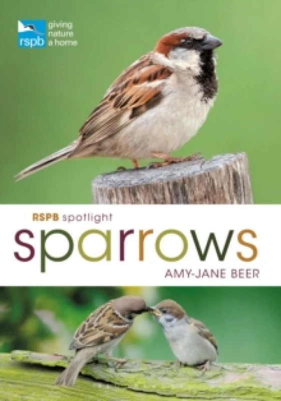 Image of RSPB Spotlight Sparrows Paperback / softback