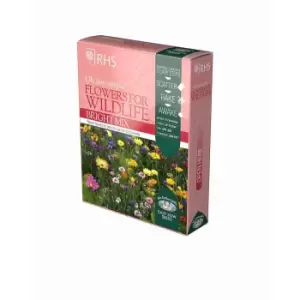 Image of Rhs Flowers For Wildlife Bright Mix