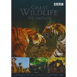 Image of Great Wildlife Moments With David Attenborough DVD