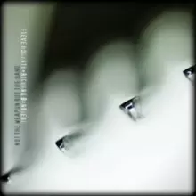 Image of Not the Weapon But the Hand