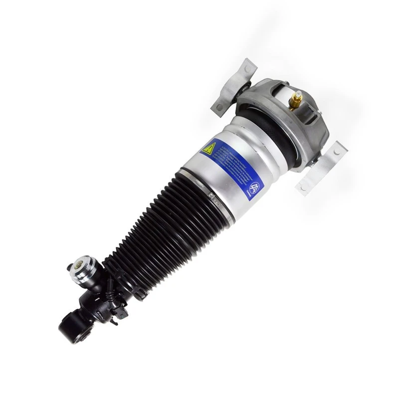 Image of MiesslerAutomotive Air suspension strut MiesslerAutomotive 1163-01-3420