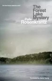 Image of The Forest Lake Mystery