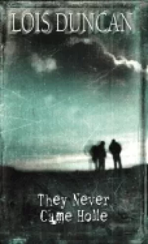 Image of they never came home