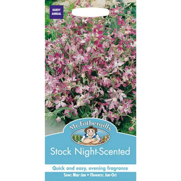 image of Mr. Fothergill's Night Scented Stock (Matthiola Longipetala) Seeds Pink