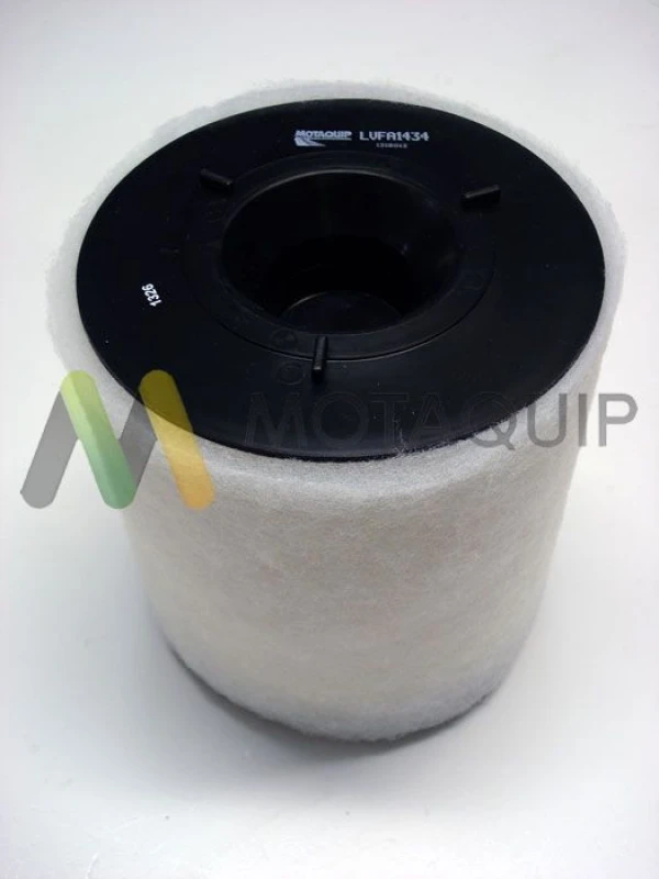 Image of MOTAQUIP Air filter MOTAQUIP LVFA1434