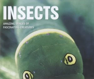 Image of Insects by Michael Chinery Hardback