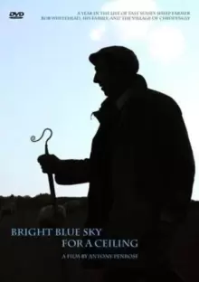 Image of Bright Blue Sky for a Ceiling