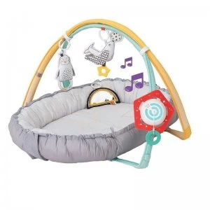 image of Taf Toys Musical Newborn Nest Gym