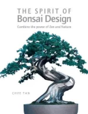 Image of spirit of bonsai design combine the power of zen and nature