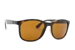 Image of Ray-Ban RB4374 710/33 56