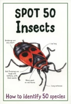 Image of Spot 50 Insects Paperback