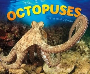 Image of Octopuses by Elizabeth R Johnson