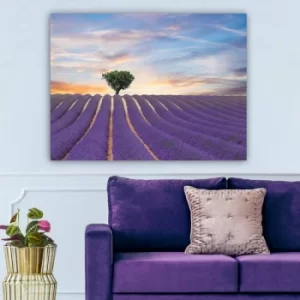 Image of 457535692_70100 Multicolor Decorative Canvas Painting