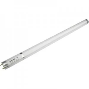 UV fluorescent tube Plus Lamp UVA 15W T8 bruchfest TVX15 18S UV fly trap Base G13