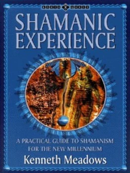 Image of Shamanic Experience by Kenneth Meadows Paperback