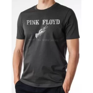 Pink Floyd Wish You Were Here Logo Unisex T-Shirt Ex Large