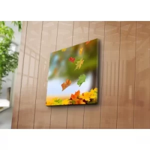 Image of 4545K-22 Multicolor Decorative Canvas Painting