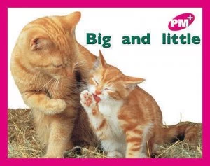 Image of Big and Little Pm Plus Magenta 2 Paperback