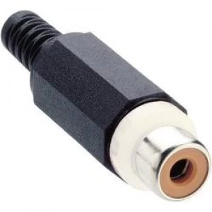 Image of RCA connector Socket straight Number of pins 2 White Lumberg XKTO 1