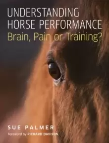 Image of Understanding Horse Performance : Brain, Pain or Training?
