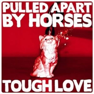 Image of Tough Love by Pulled Apart By Horses CD Album