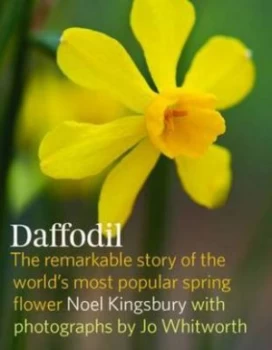 Image of Daffodil by Noel Kingsbury Hardback