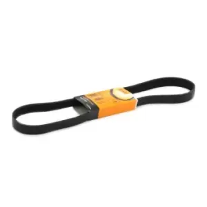 Image of CONTITECH V-ribbed belt 7PK1125 Serpentine belt,Auxiliary belt RENAULT,NISSAN,MEGANE III Grandtour (KZ0/1),SCENIC II (JM0/1_),Scenic III (JZ0/1_)