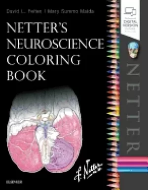 Image of netters neuroscience coloring book