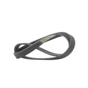 Image of RIDEX V-ribbed belt 305P0534 Serpentine belt,Auxiliary belt VW,AUDI,SKODA,Golf V Schragheck (1K1),Passat Variant (3C5),GOLF VI (5K1)